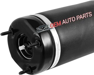 Mercedes-Benz W164 ML 350 Front Air Suspension Shock Strut