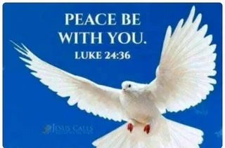 Domestic Job Needed Please.