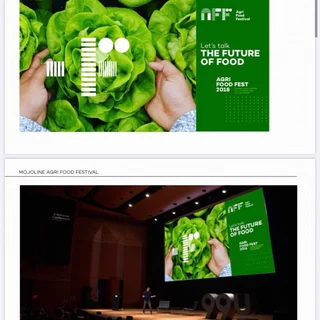 Graphic Design &amp; Branding Services