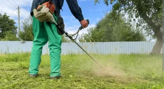 Looking for Saturday and Wednesday part time