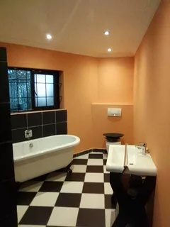 Painter,skimmer And Handyman Is Looking For A Job.