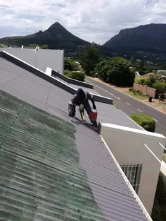 PAINTER,SKIMMER AND HANDYMAN IS LOOKING FOR A JOB.