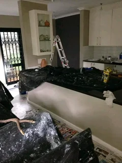 PAINTER, SKIMMER AND HANDYMAN IS LOOKING FOR A JOB.