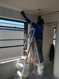 PAINTER,SKIMMER AND HANDYMAN IS LOOKING FOR A JOB