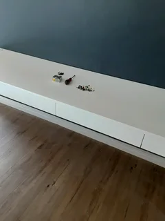 PAINTER,SKIMMER AND HANDYMAN IS LOOKING FOR A JOB