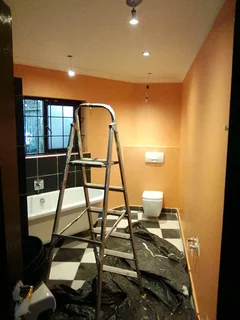 PAINTER,SKIMMER AND HANDYMAN IS LOOKING FOR A JOB