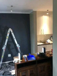 PAINTER,SKIMMER AND HANDYMAN IS LOOKING FOR A JOB.