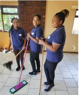 PROFESSIONAL AFFORDABLE DOMESTIC CLEANING SERVICES