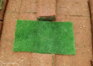 Instant Lawn