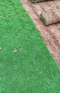 INSTANT LAWN