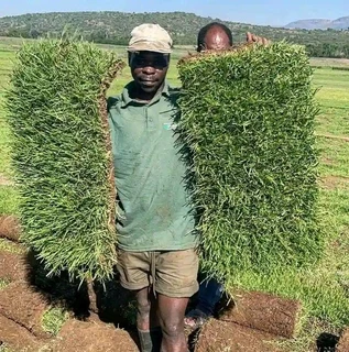 Instant Lawn Install