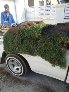 INSTANT LAWN INSTALL