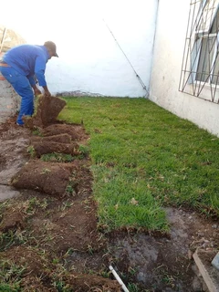 INSTANT LAWN INSTALL