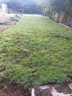 FRESH LAWN