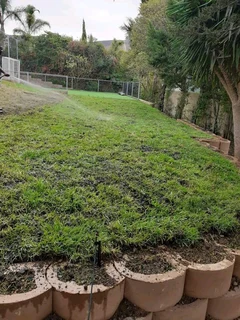 Lawn Installation
