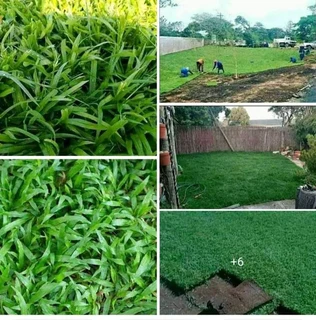LAWN INSTALLATION