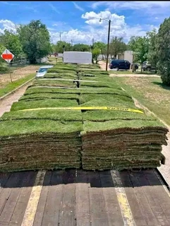 Grass Rolls