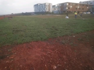 ALLSEASON GREEN GRASS