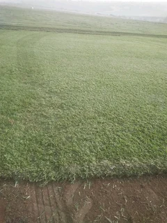 LM GRASS