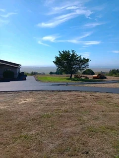 TARRING ROADS N DRIVEWAYS