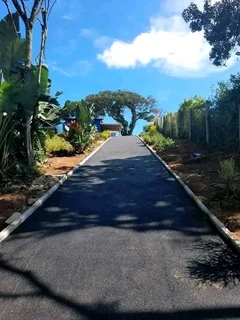 ROADS N DRIVEWAYS PAVING TAR