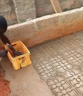 TAR DRIVEWAYS N PAVING