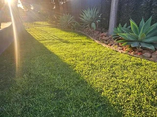 ALL SEASONS EVERGREEN GRASS