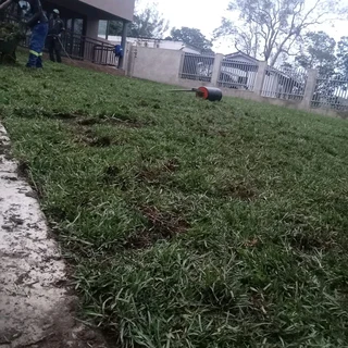 Fresh Farm Grass Lawn