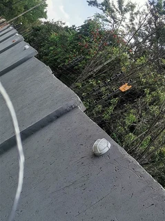 Electric Fence installations, repairs and maintenance services