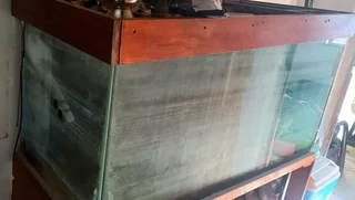 Fish tank for sale