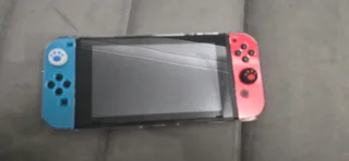 Nintendo switch picofly