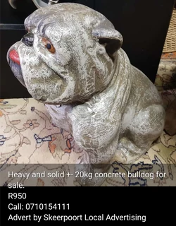 20kg heavy and solid concrete bull dog for sale.