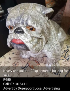20kg heavy and solid concrete bull dog for sale.