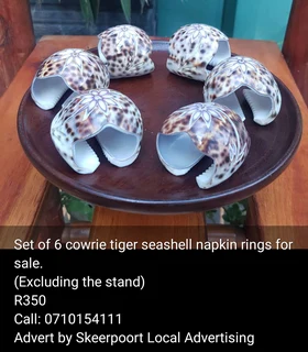 Set of 6 cowrie tiger sea shell napkin rings for sale
