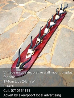 Vintage unique decorative wall mount skulls for sale