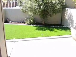 Artificial grass and paving.