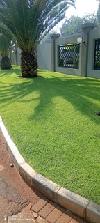 farm fresh evergreen instant lawn