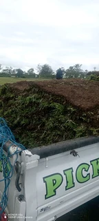 farm fresh evergreen instant lawn