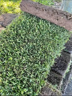 All seasons farm fresh Instant