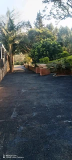 Tar driveways and Parking&#39;s