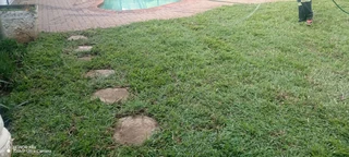 farm fresh instant lawn