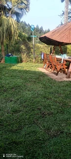 farm fresh instant lawn