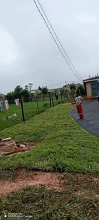 Farm fresh Instant lawn