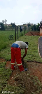 Farm fresh Instant lawn