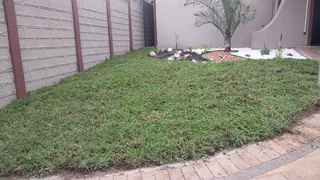 Kikuyu, Royal blue, Berea Shade LM and Buffalo instant lawn