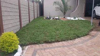 Kikuyu, Royal blue, Berea Shade LM and Buffalo instant lawn