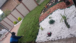 Kikuyu, Royal blue, Berea Shade LM and Buffalo instant lawn