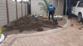 Kikuyu, Royal blue, Berea Shade LM and Buffalo instant lawn