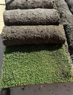 Evergreen Grass All Seasons instant lawn