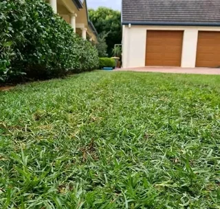 Evergreen Grass All Seasons instant lawn